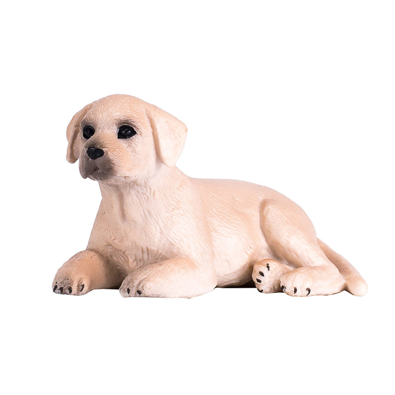 Afbeelding laden in galerijviewer, Mojo farmland labrador puppy - 387272

