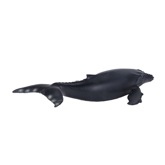 Mojo sealife bultrug - 387119