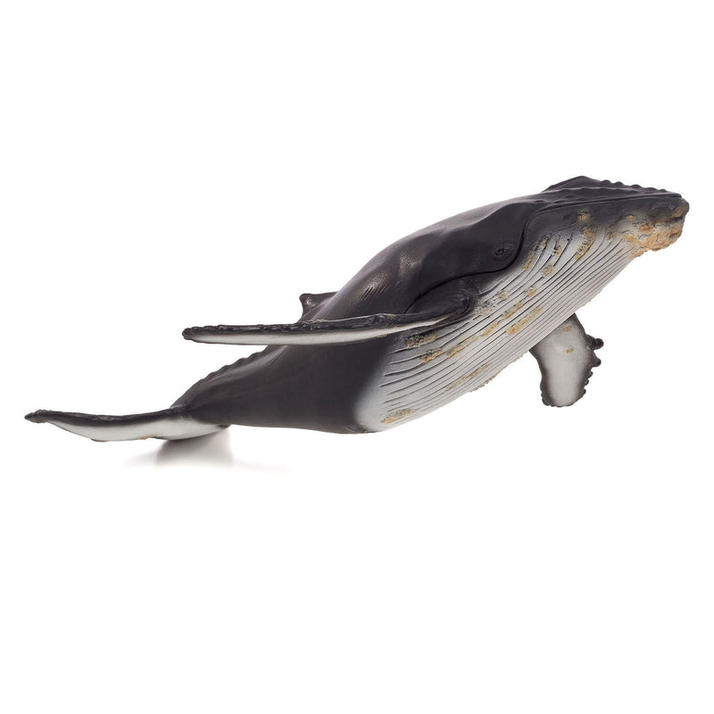 Afbeelding laden in galerijviewer, Mojo Sealife Bultrugwalvis Groot 387277
