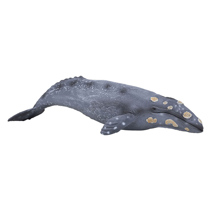 Afbeelding laden in galerijviewer, Mojo sealife - grijze walvis 387280
