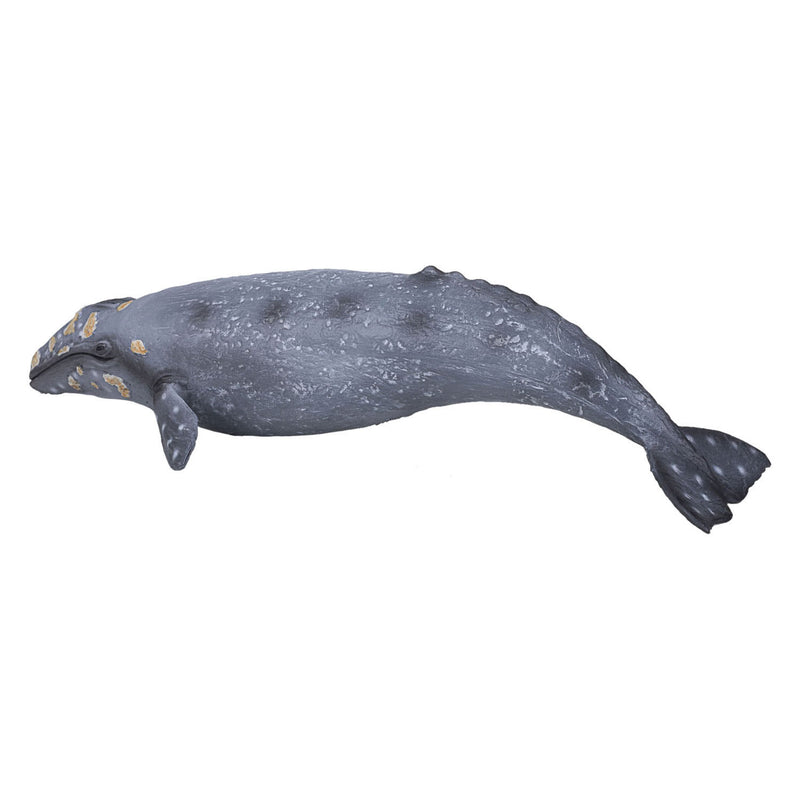 Afbeelding laden in galerijviewer, Mojo sealife - grijze walvis 387280
