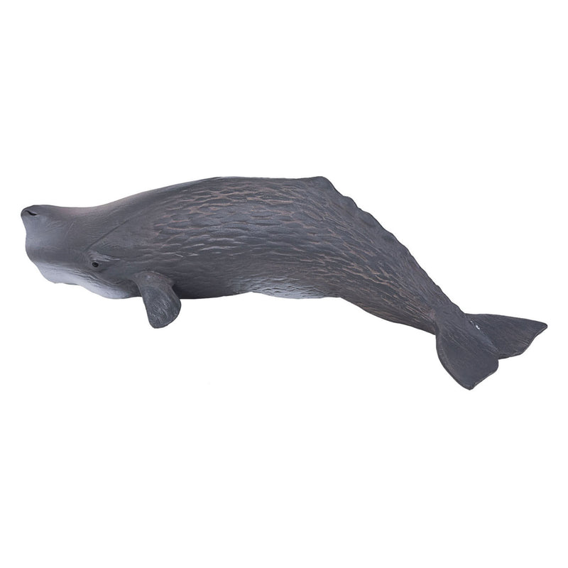 Afbeelding laden in galerijviewer, Mojo Sealife Potvis 387210
