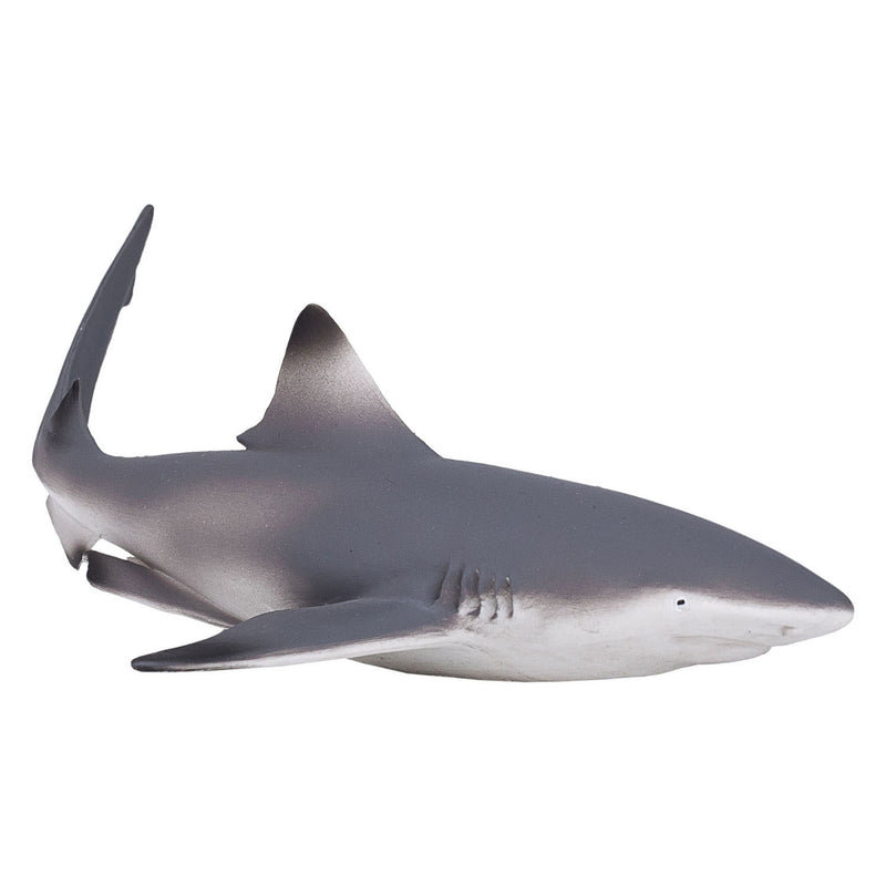 Afbeelding laden in galerijviewer, Mojo sealife zwartpuntrifhaai 387357
