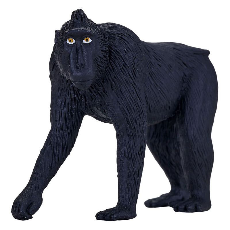 Afbeelding laden in galerijviewer, Mojo wildlife zwartgekroonde makaak - 387182
