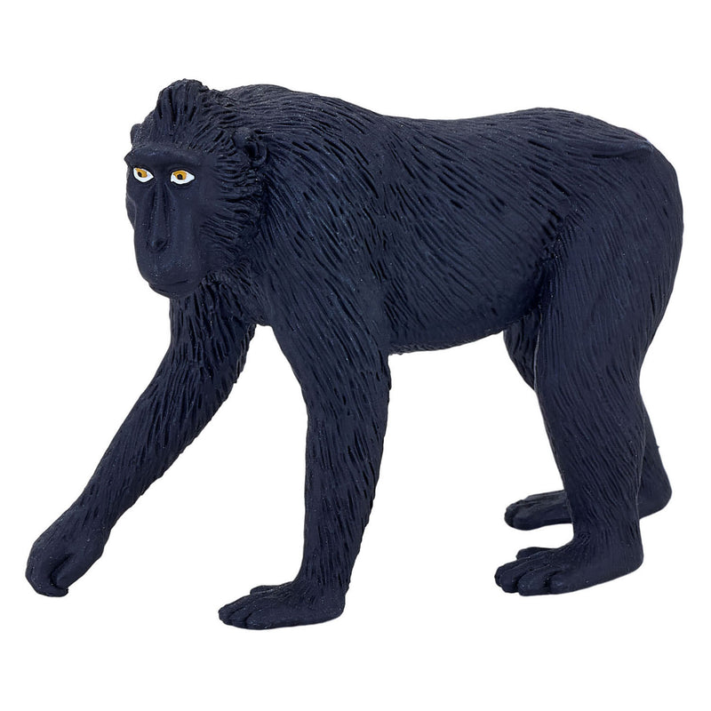 Afbeelding laden in galerijviewer, Mojo wildlife zwartgekroonde makaak - 387182
