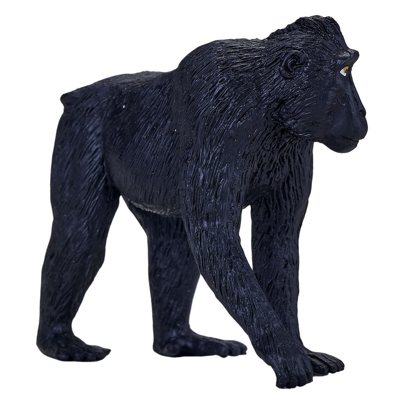 Afbeelding laden in galerijviewer, Mojo wildlife zwartgekroonde makaak - 387182
