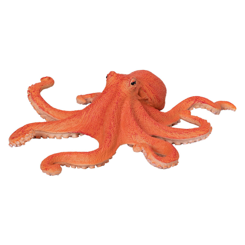 Afbeelding laden in galerijviewer, Mojo sealife octopus - 381036
