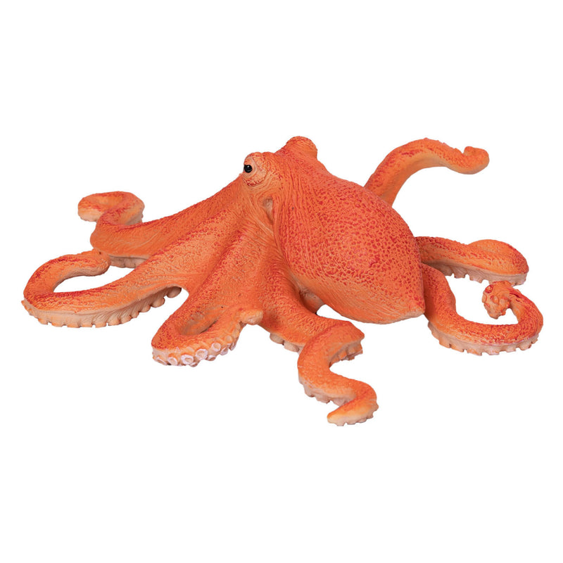 Afbeelding laden in galerijviewer, Mojo sealife octopus - 381036
