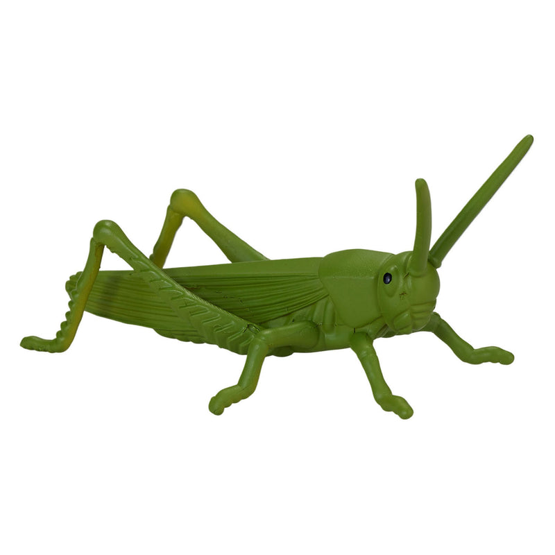 Afbeelding laden in galerijviewer, Mojo wildlife mini insecten en spinnen, 12dlg. - 380058
