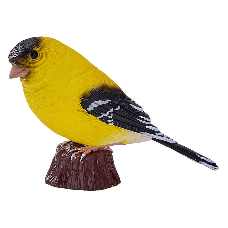 Afbeelding laden in galerijviewer, Mojo farmland amerikaanse goudvink - 381111
