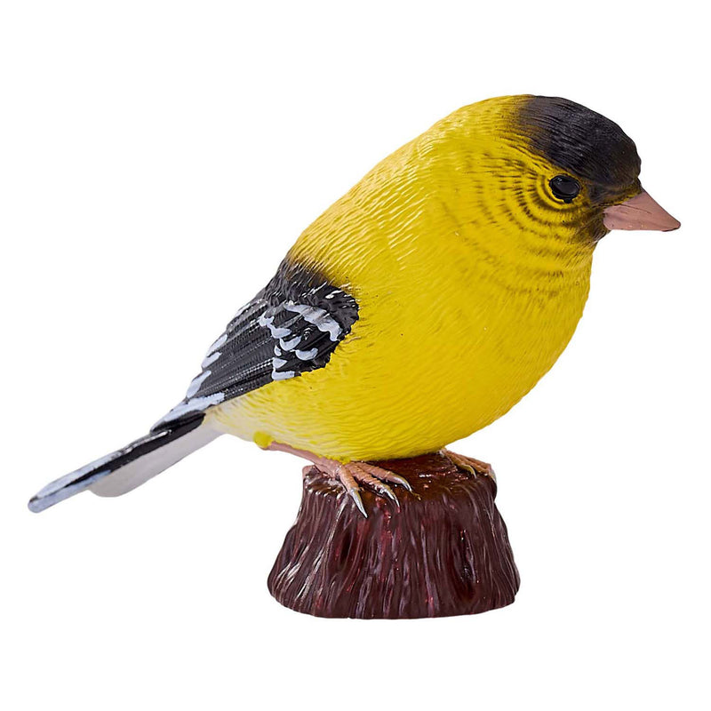 Afbeelding laden in galerijviewer, Mojo farmland amerikaanse goudvink - 381111
