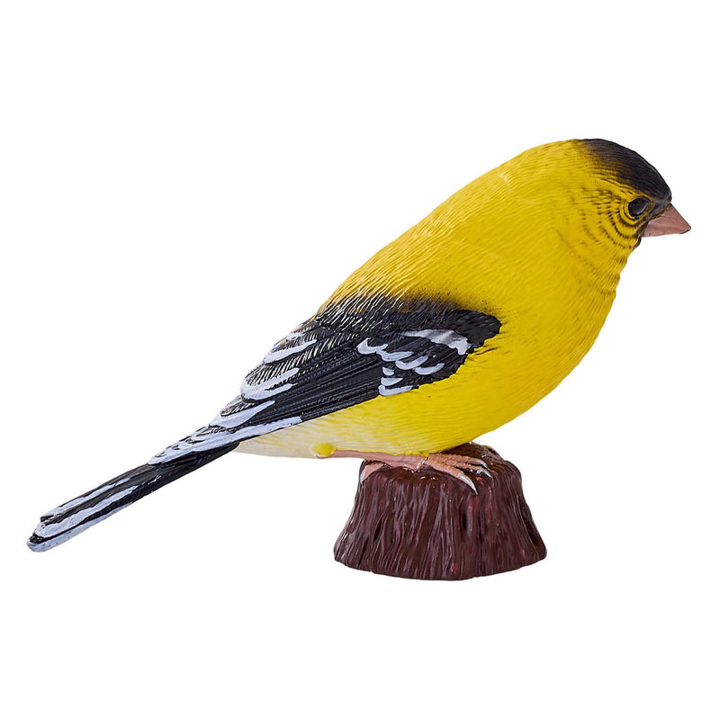 Afbeelding laden in galerijviewer, Mojo farmland amerikaanse goudvink - 381111

