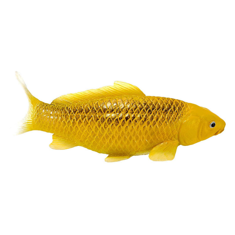 Afbeelding laden in galerijviewer, Mojo sealife koi karper - kin matsuba koi - 381105

