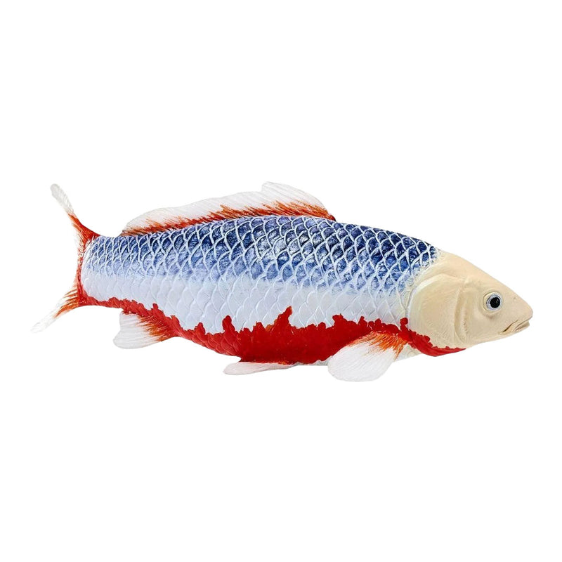 Afbeelding laden in galerijviewer, Mojo koi collection - asagi koi blauw rood 381118
