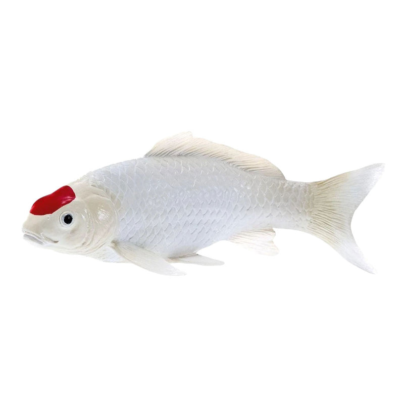 Afbeelding laden in galerijviewer, Mojo koi collection - tancho koi rode stippen 381119
