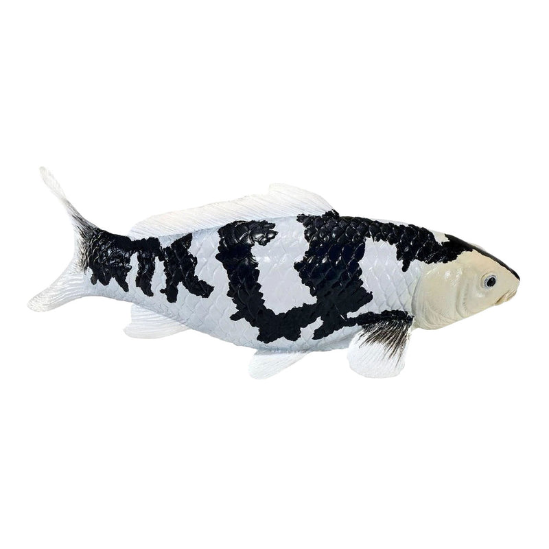 Afbeelding laden in galerijviewer, Mojo koi collection - shiro utsuri koi zwart wit 381120
