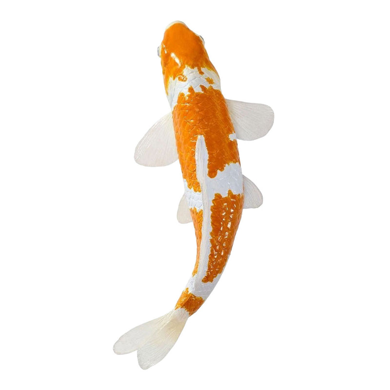 Afbeelding laden in galerijviewer, Mojo koi collection - ochiba shigure koi goud wit 381122
