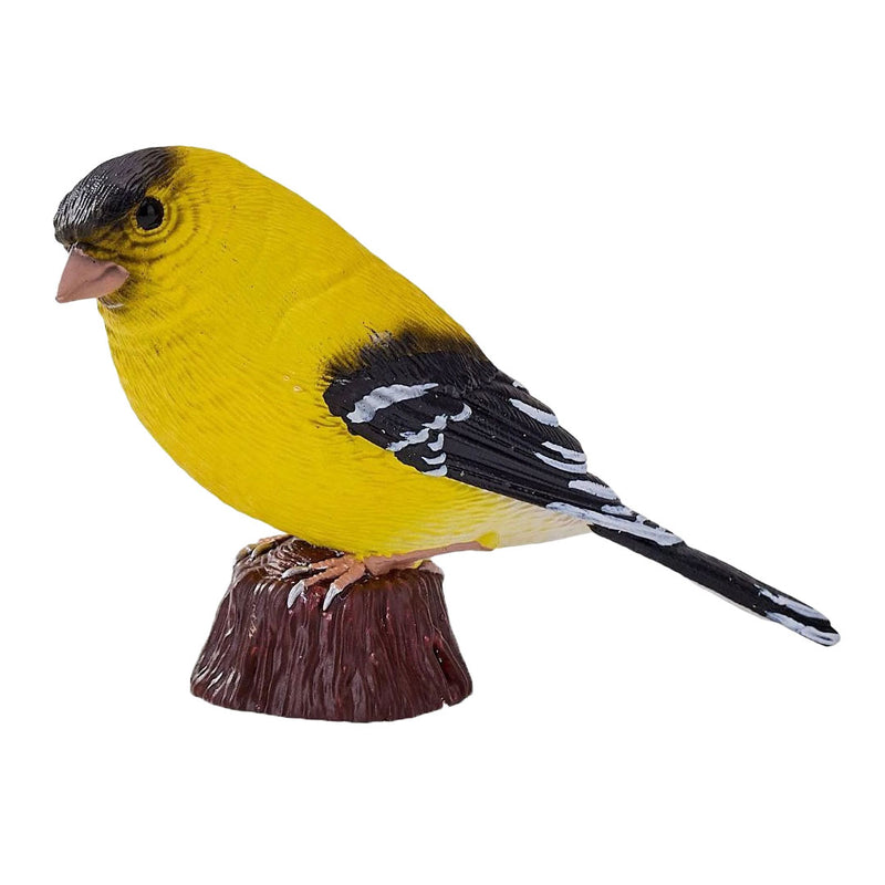 Afbeelding laden in galerijviewer, Mojo garden birds amerikaanse distelvink 381125
