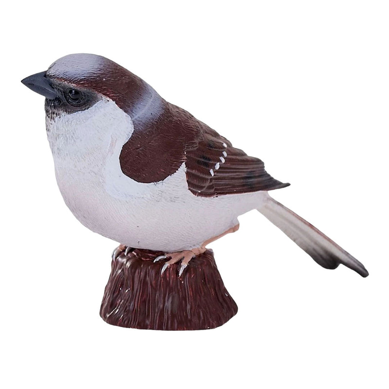 Afbeelding laden in galerijviewer, Mojo garden birds huismus 381128
