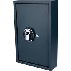 Pavo sleutelkast high security met fingerprintslot 50 haken 550x400x100mm