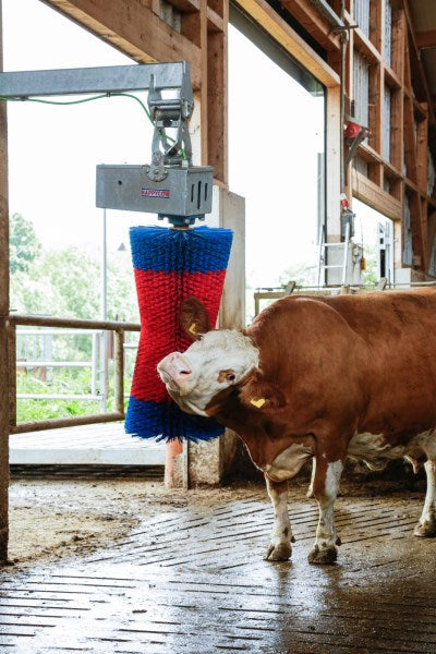 Producten happycow koeborstel maxiswing