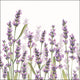 Ambiente servetten lavender shades white 25x25cm