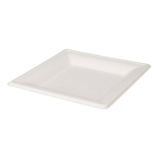 Wegwerpbordjes vierkant 16cm, 8st.