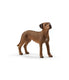 Schleich hond rhodesian ridgeback 13895