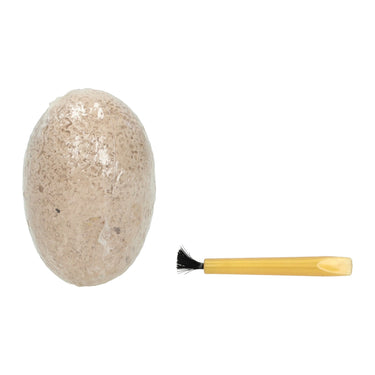 Uitgraafset in dinosaurus ei met beiteltje en borstel