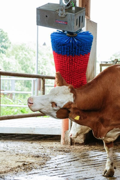 Afbeelding laden in galerijviewer, Producten happycow koeborstel maxiswing
