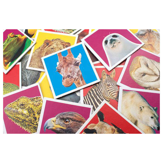 Afbeelding laden in galerijviewer, Tactic wildlife memo
