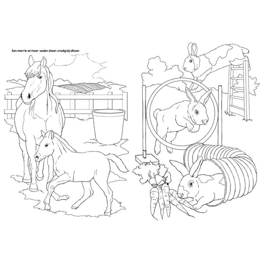 Selecta tactic boerderijdieren kleurboek - 48 pagina's - kleurboek voor kinderen - boerderij - vanaf 2 jaar