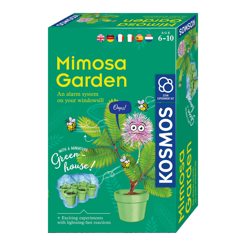 Afbeelding laden in galerijviewer, Kosmos Mimosa Planten Kweken

