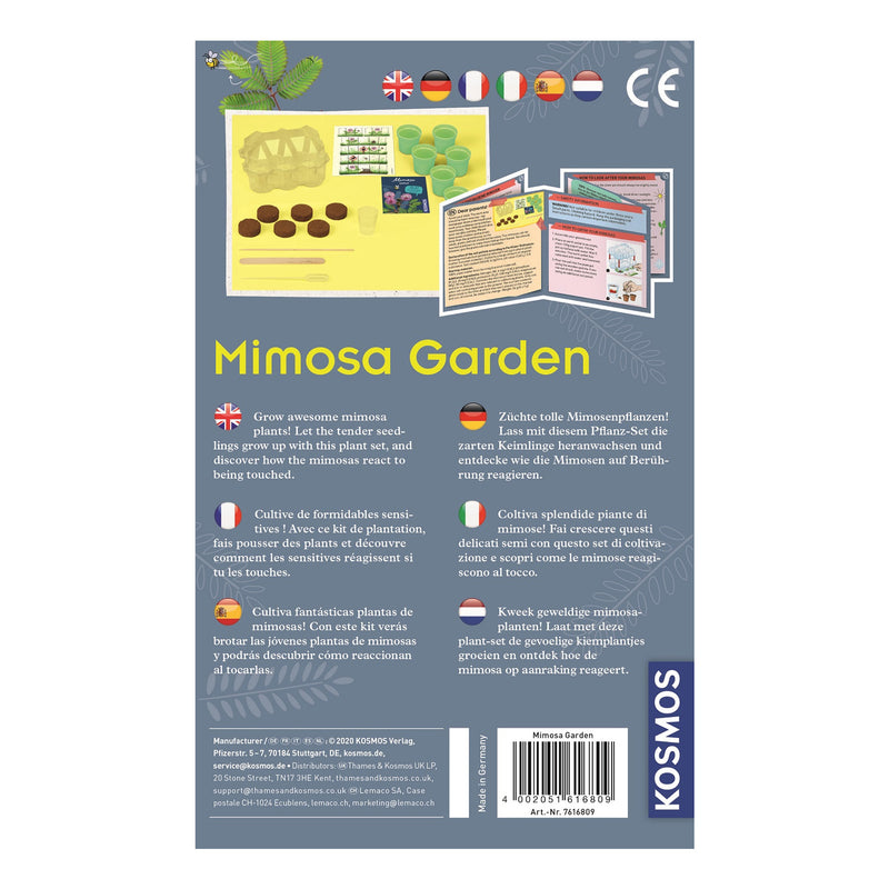 Afbeelding laden in galerijviewer, Kosmos Mimosa Planten Kweken
