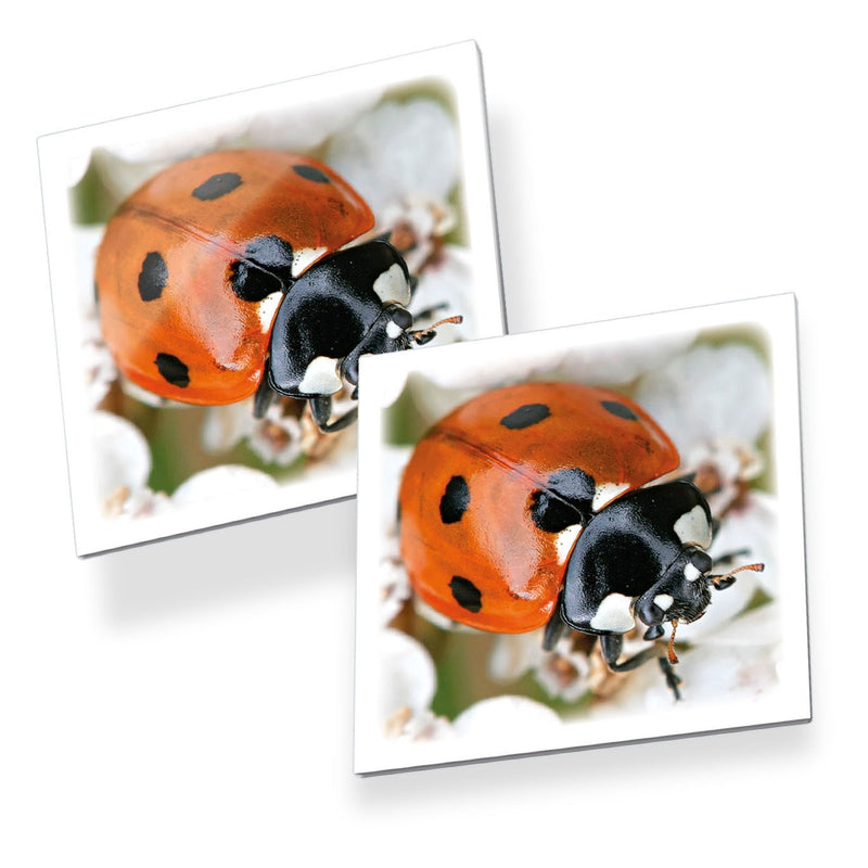 Afbeelding laden in galerijviewer, Tactic memo insecten - memospel - zoek de juiste paren - vlinders, lieveheersbeestjes en andere kriebelbeestjes - educatief gezelschapsspel voor kinderen en families - 2 tot 6 spelers - vanaf 3 jaar
