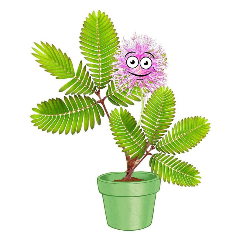 Afbeelding laden in galerijviewer, Kosmos mimosa garden speelset
