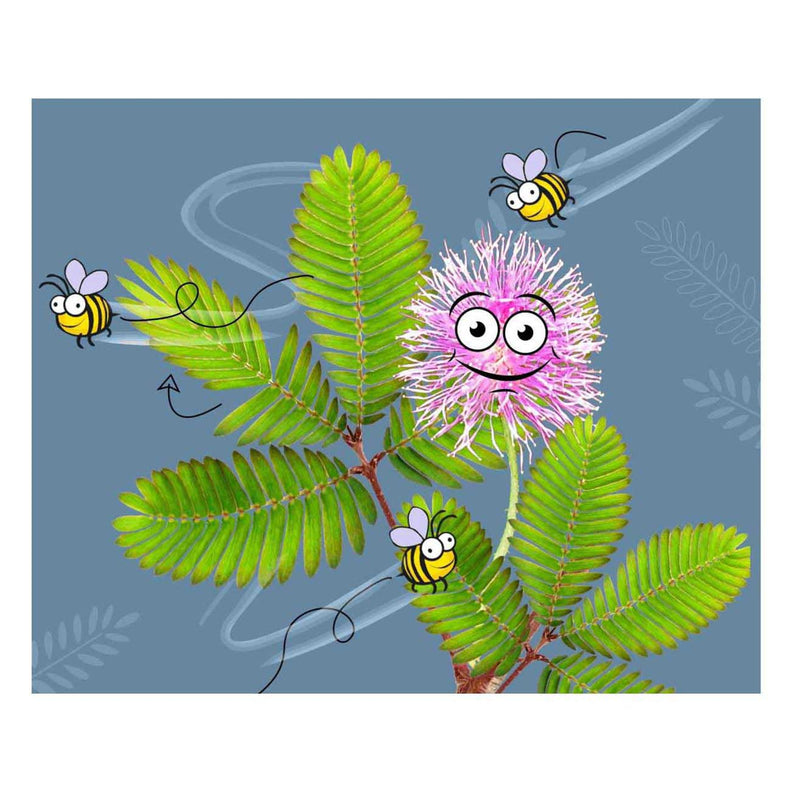 Afbeelding laden in galerijviewer, Kosmos mimosa garden speelset
