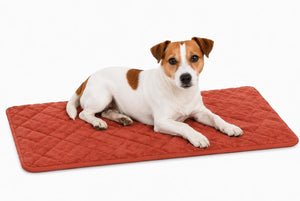 Flamingo hondenkussen - orthopedisch hondenkussen - benchkussen memory foam - weimar cognac s - premium comfort voor hondenbench - antislip - 70,5cm s
