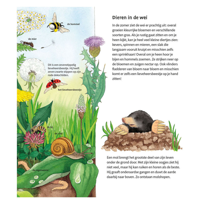 Afbeelding laden in galerijviewer, Deltas de dieren om ons heen kartonboek (2-4 j.)
