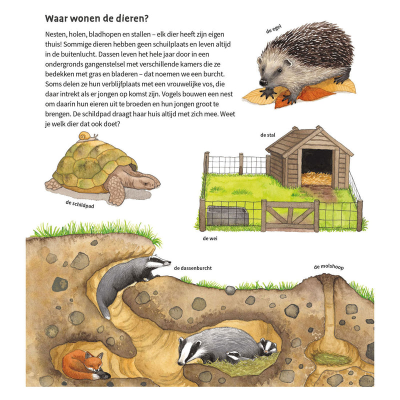 Afbeelding laden in galerijviewer, Deltas de dieren om ons heen kartonboek (2-4 j.)
