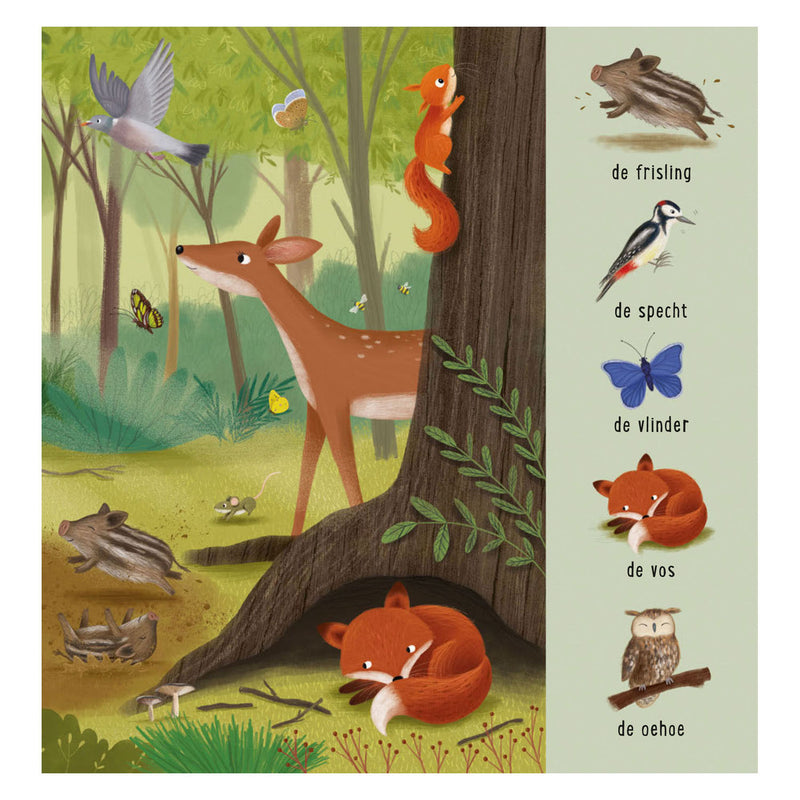 Afbeelding laden in galerijviewer, Deltas mijn eerste zoekboek - dieren in het bos
