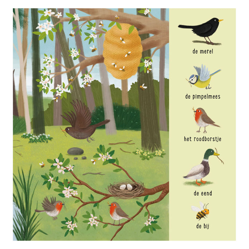 Afbeelding laden in galerijviewer, Deltas mijn eerste zoekboek - dieren in het bos
