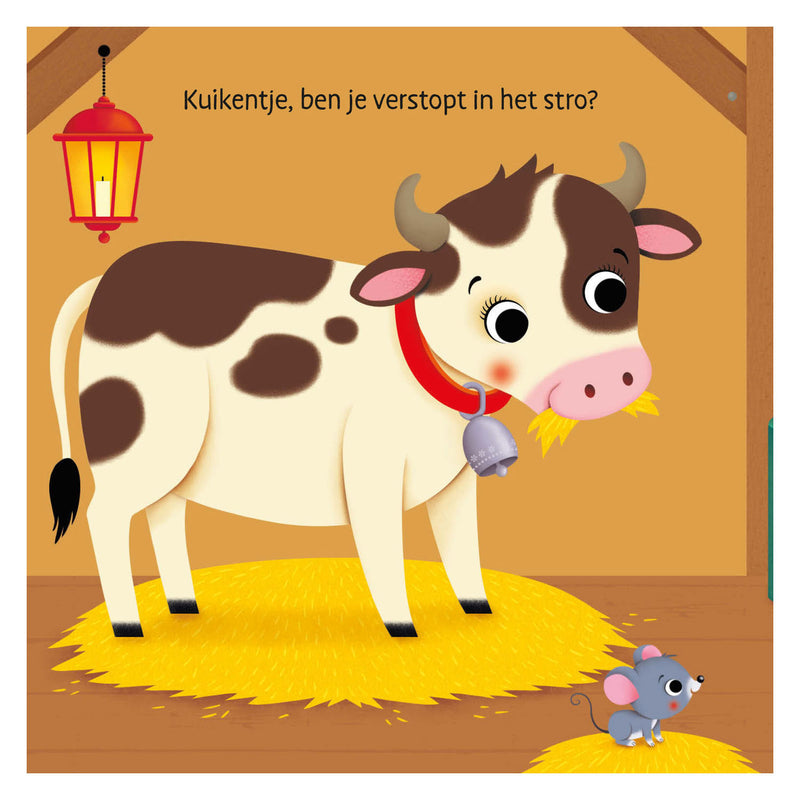 Afbeelding laden in galerijviewer, Deltas waar is het kuikentje? flapjesboek
