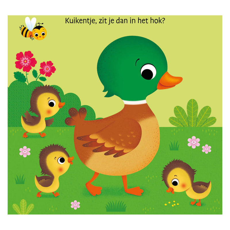 Afbeelding laden in galerijviewer, Deltas waar is het kuikentje? flapjesboek

