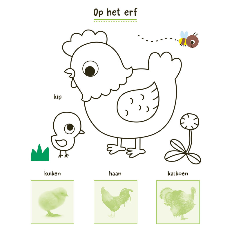 Afbeelding laden in galerijviewer, Deltas mijn dieren stickerboek
