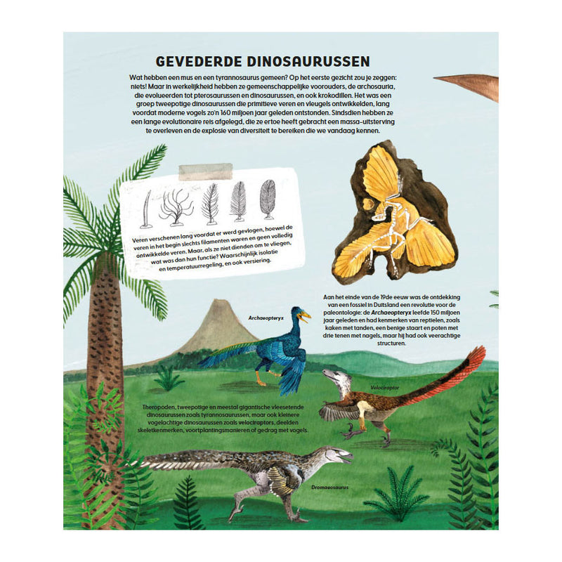 Afbeelding laden in galerijviewer, Deltas de wondere wereld van vogels
