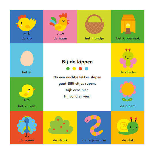 Deltas mijn allereerste woordenboek - spelen en leren met billi kartonboekje
