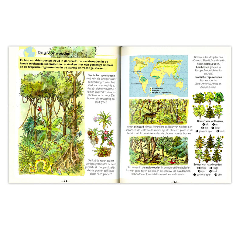 Afbeelding laden in galerijviewer, Deltas eerste grote atlas voor kinderen
