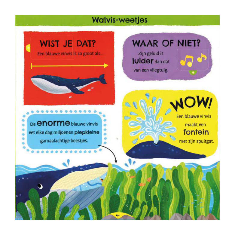 Afbeelding laden in galerijviewer, Deltas mijn eerste weetjesboek bij de dieren
