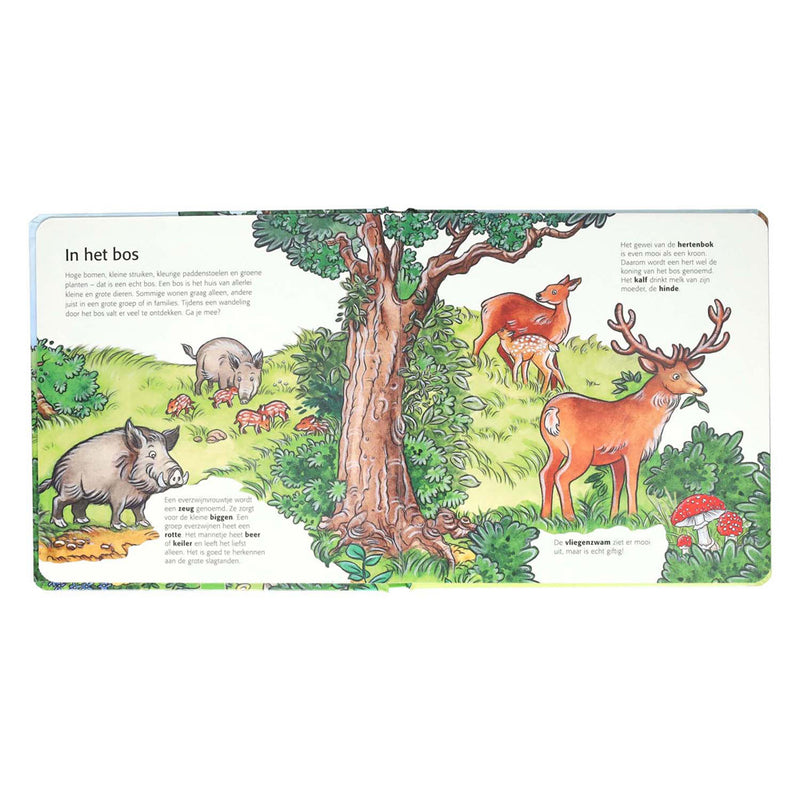 Afbeelding laden in galerijviewer, Wins holland kinderen ontdekken het bos
